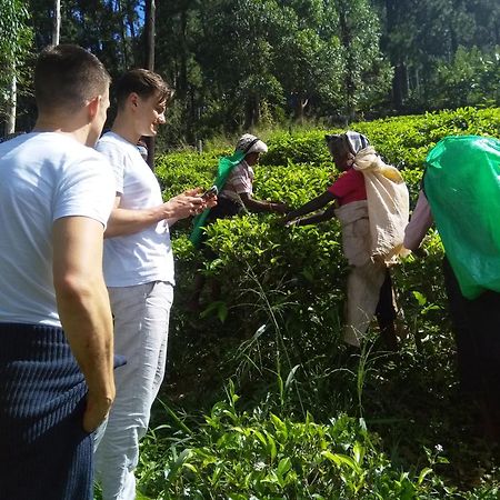 The Farm House Nuwaraeliya Nuwara Eliya Ngoại thất bức ảnh