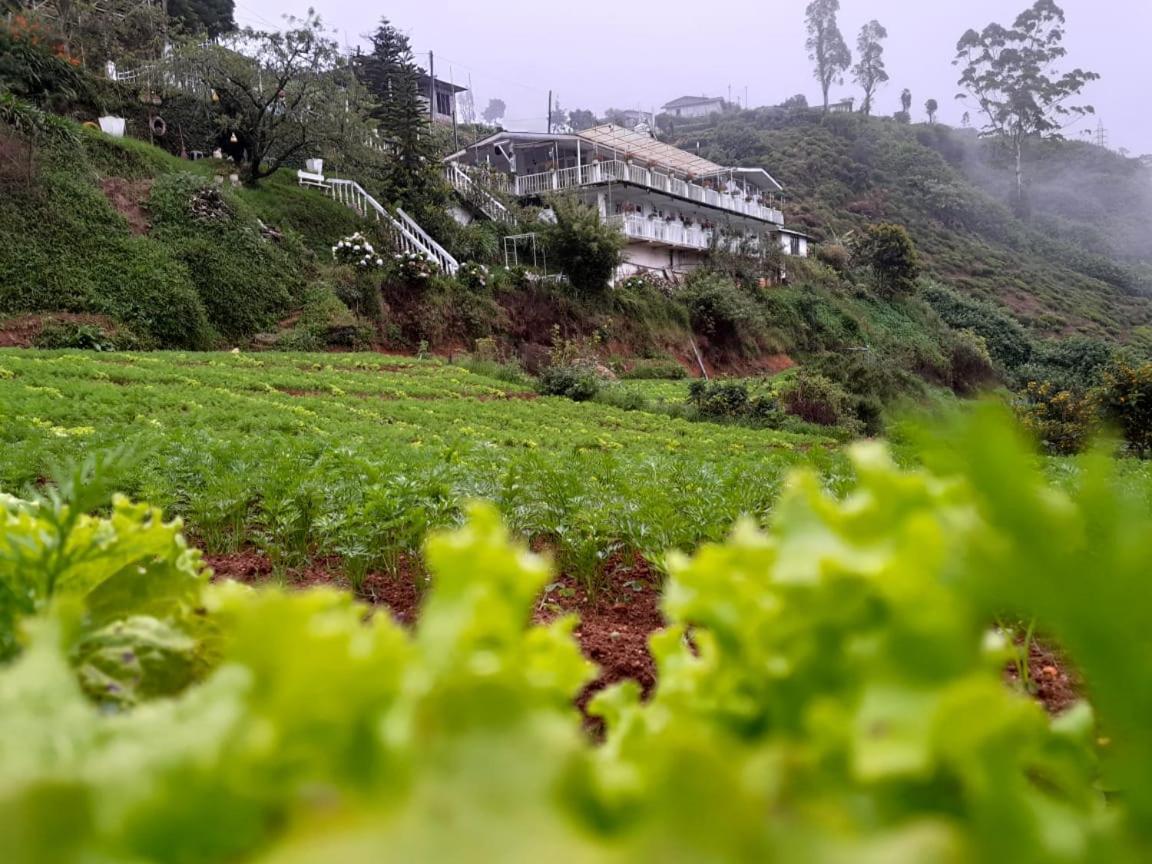 The Farm House Nuwaraeliya Nuwara Eliya Ngoại thất bức ảnh