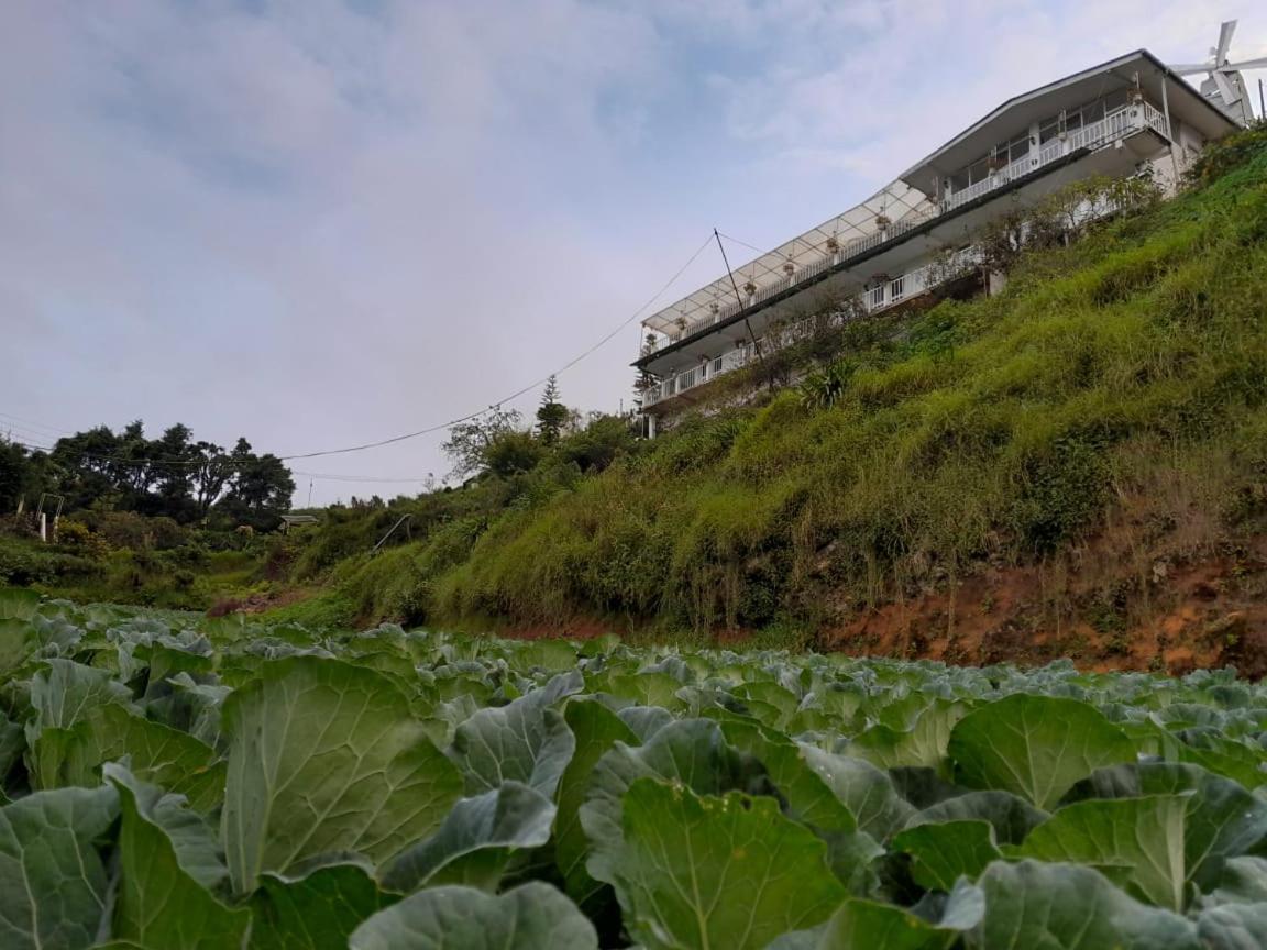 The Farm House Nuwaraeliya Nuwara Eliya Ngoại thất bức ảnh