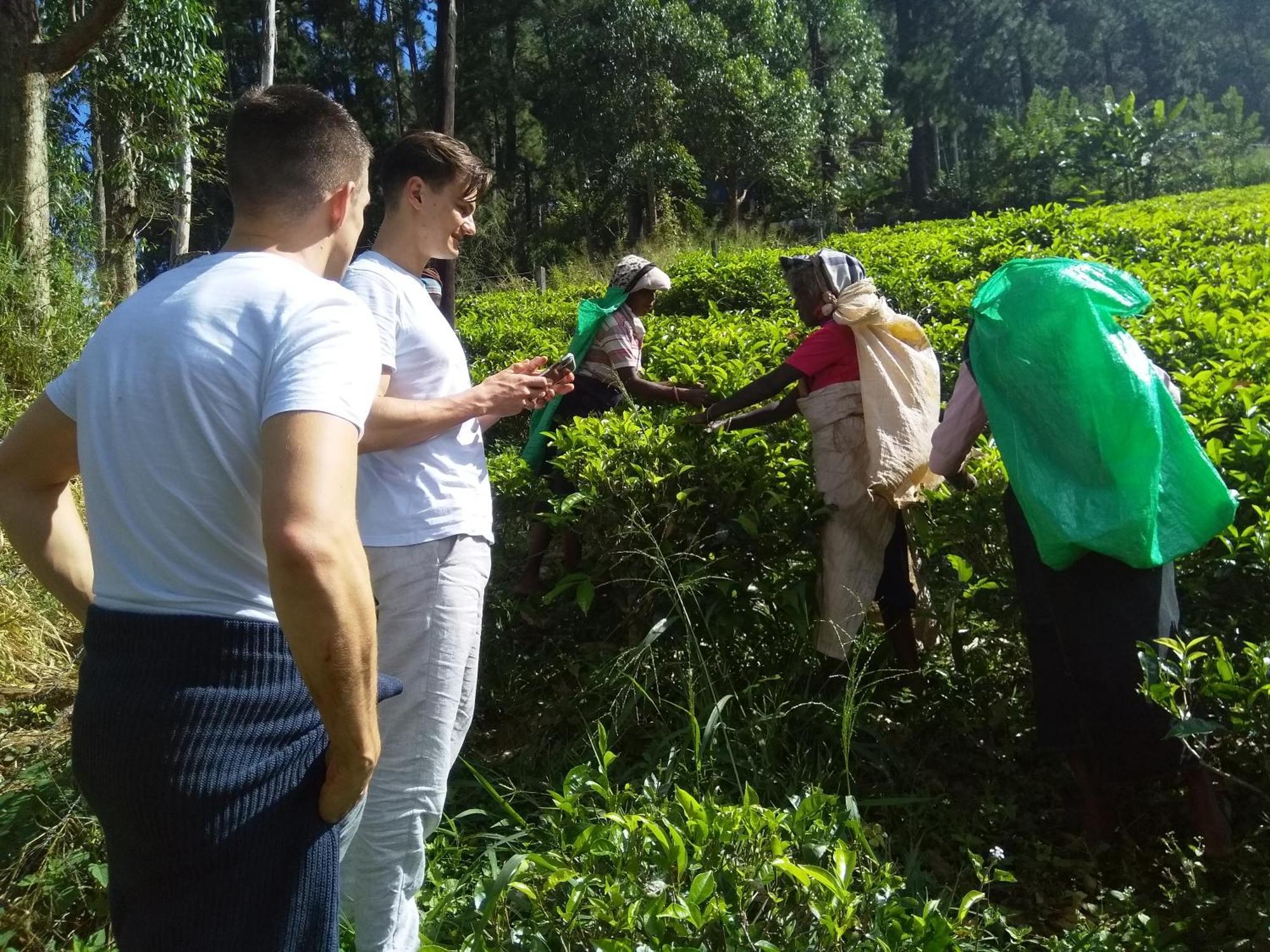 The Farm House Nuwaraeliya Nuwara Eliya Ngoại thất bức ảnh